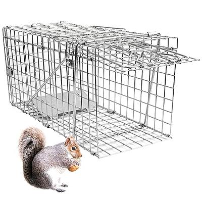 Cat Trap for Stray Cats 24x8x7 Animal Trap Live Traps for Cats Squirrel  Groundhog Opossum Rabbit Skunk Chicken and Small Animal, Pedal Triggered  Trap, Waterproof Stainless Steel & Foldable 