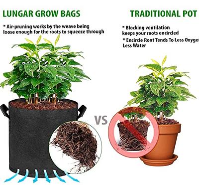 10 Gallon Grow Bags, Grow Bag 10 Gal, Fabric Pots 10 Gallon, Fabric  Planters Grow Bags 10 Gallon, 10 Pack Plant Bags for Planting, Aeration  Fabric