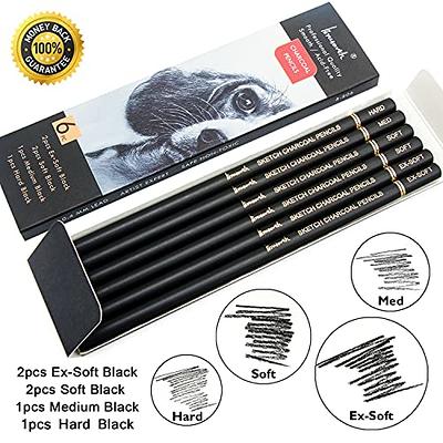 Sunshilor Professional Charcoal Pencils Drawing Set - 12 Pieces Soft Medium  and Hard Charcoal Pencils for Drawing, Sketching, Shading, Artist Pencils