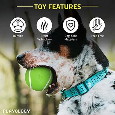 Playology Dog Balls for Medium and Large Dog Breeds(10lbs & Up) - Dog Ball  for Aggressive Chewers - Squeaky Toy, Engaging All-Natural Sweet Potato  Scented - Non-Toxic Rubber Dog Ball Toys 