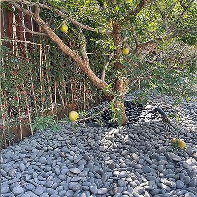 black river rocks landscaping