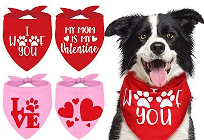 Dog Bandana, Red Heart Valentine