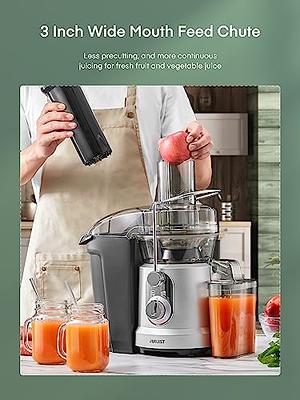  Apple Juicer Machine