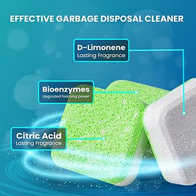 Garbage Disposal Cleaner Brush with Extra Long Handle to Keep Your Drain  Spotless - Disposal Cleaner and Deodorizer for a Fresh Smelling Kitchen 