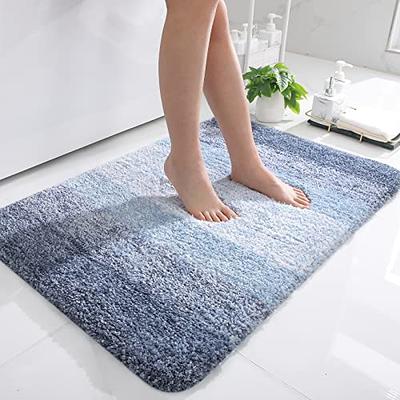 DEXI Bath Mat Rugs Bathroom Floor Mat Super Absorbent Ultra Thin Low  Profile Non Slip Quick Dry Washable Carpet for Sink Shower Toilet, 17x43