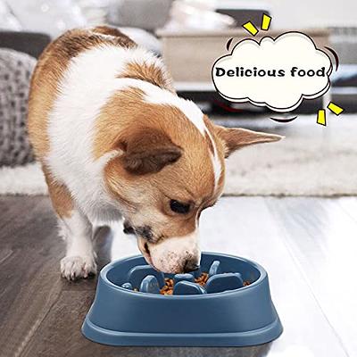 UPSKY Slow Feeder Bowls Anti-Slip Puzzle Interactive Bloat Stop Bowl  Anti-Choking Dog Bowl for Small and Medium Dogs (15-50 lbs).