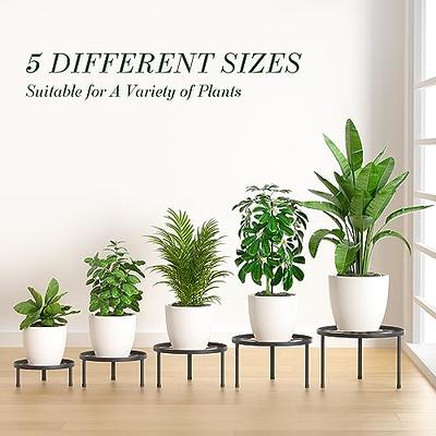 5-Pack Metal Plant Stands, Heavy Duty Anti-Rust Iron Flower Pot