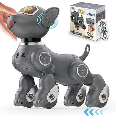 VATOS Robot Dog Toy for Kids, Voice & 2.4GHz Remote Control Robot Pet with  Interactive Touch Sensors, Over 20+ Responses, Program Mode, Robotic Puppy  Toy for Kids Boys & Girls - Yahoo Shopping