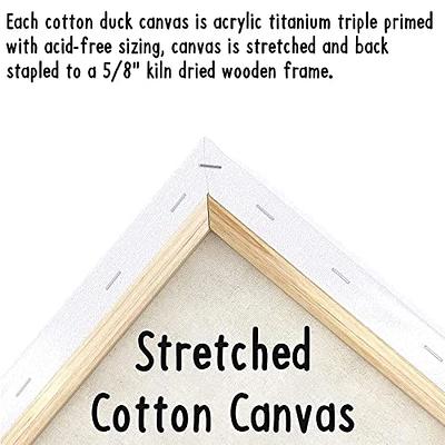 2 PACK Canvas Painting Kit Bundle  Pre Drawn Stretched Canvas Kit