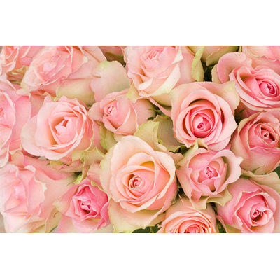 Bouquet of Roses (Le Bouquet de roses) Premium Gallery Wrapped