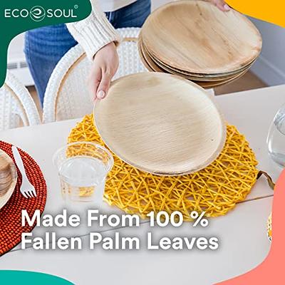 ECO SOUL 100% Compostable 9 Inch Paper Plates 100-Pack Disposable