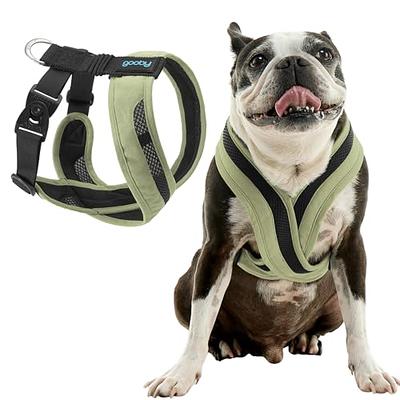 Gooby Comfort X Head-in Harness, Green, Medium : : Pet Supplies