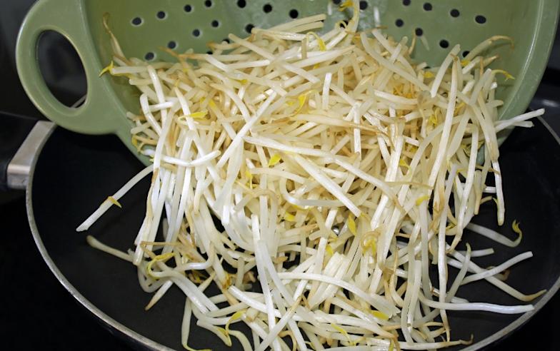 黃豆芽、綠豆芽差在哪？營養師揭「關鍵差別」 想補蛋白質一定要選它