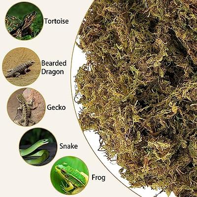 kathson Sphagnum Moss for Reptiles, 10.5 Oz Natural Dried Moss
