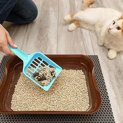 Cat Litter Mat – PAWBEE STORE