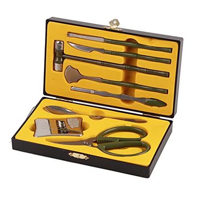 Pliers and Screwdriver Tool Set with Hard Case (10-Piece)