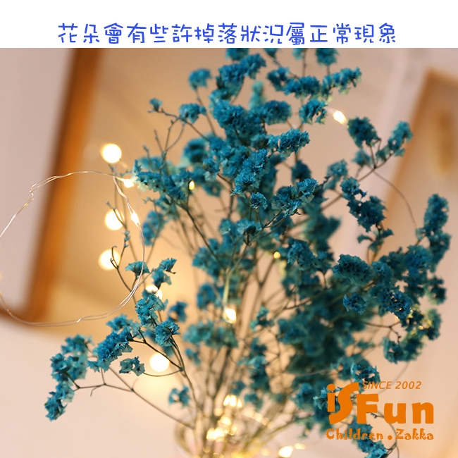 iSFun 星光乾燥花 甜美緞帶玻璃瓶銅線燈 2色可選