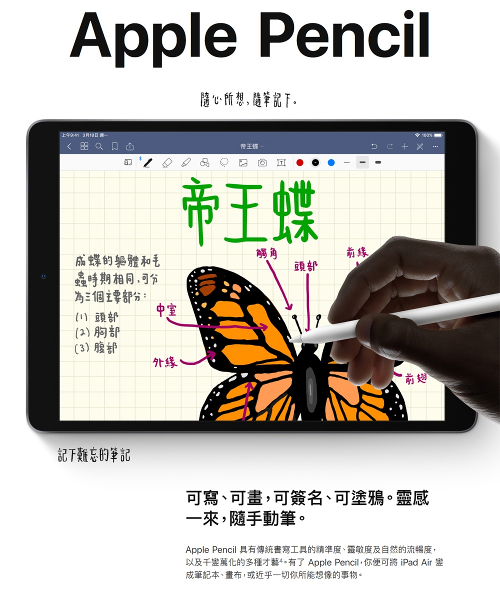 Apple 2019 iPad Air 3 10.5吋 WiFi 256G平板電腦