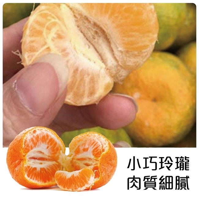 【天天果園】南投草生栽種珍珠柑5斤 x2箱