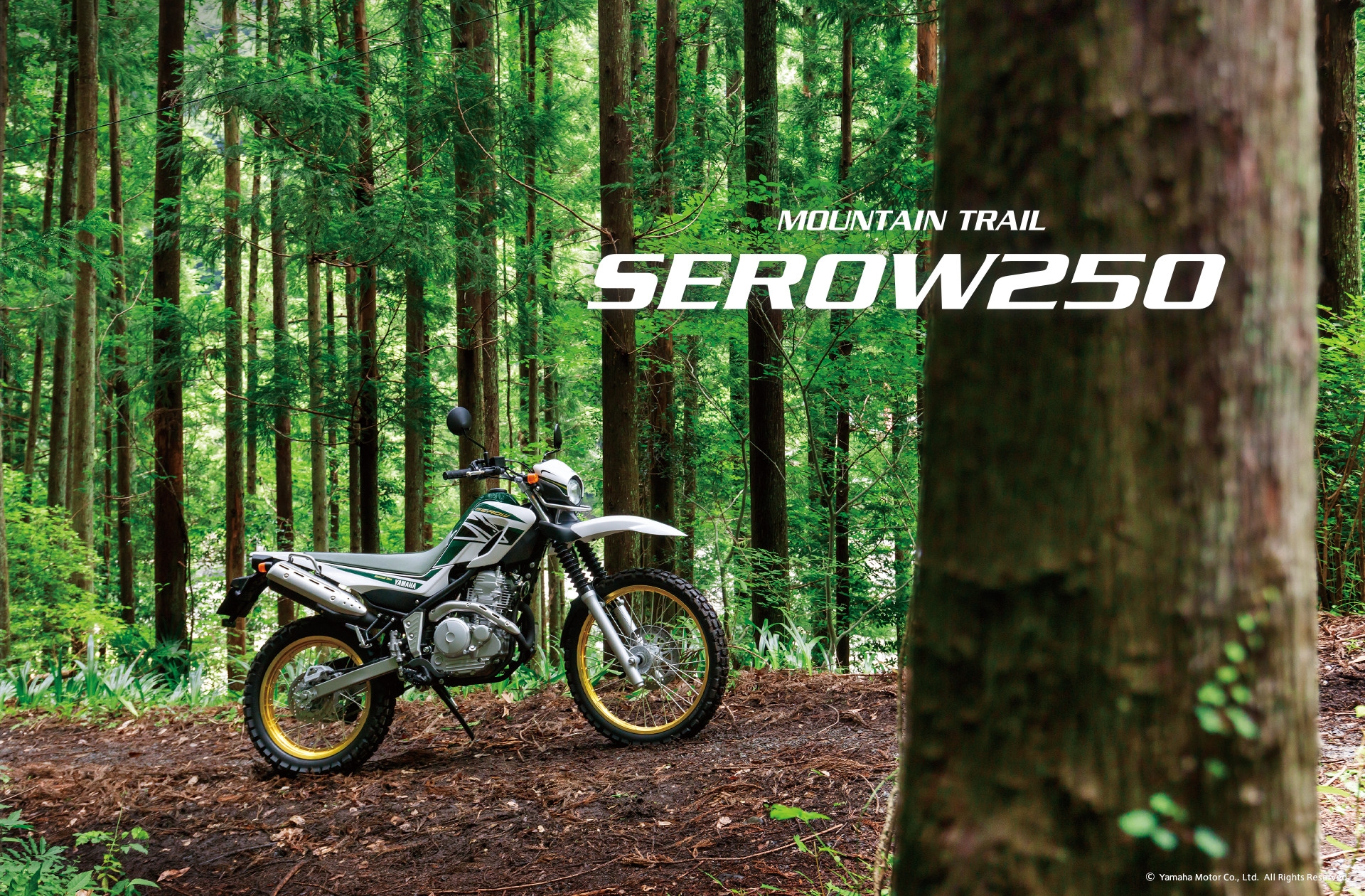 YAMAHA 山葉機車 SEROW 250 2019 全新車