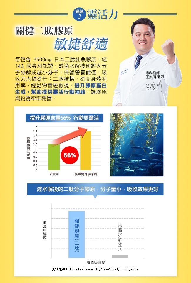 船井 健字號關健膠原粉10入X3盒