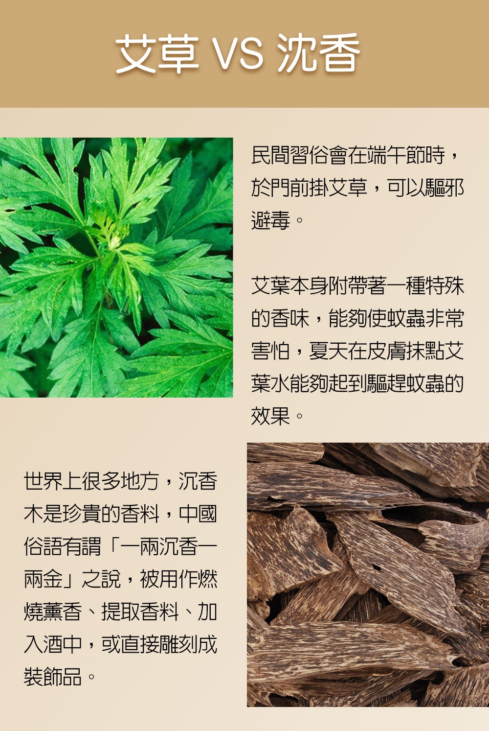 Fushankodo 富山香堂 驅蚊富貴虎守護沉香 小資組-富貴虎+沉香守護香30片補充包