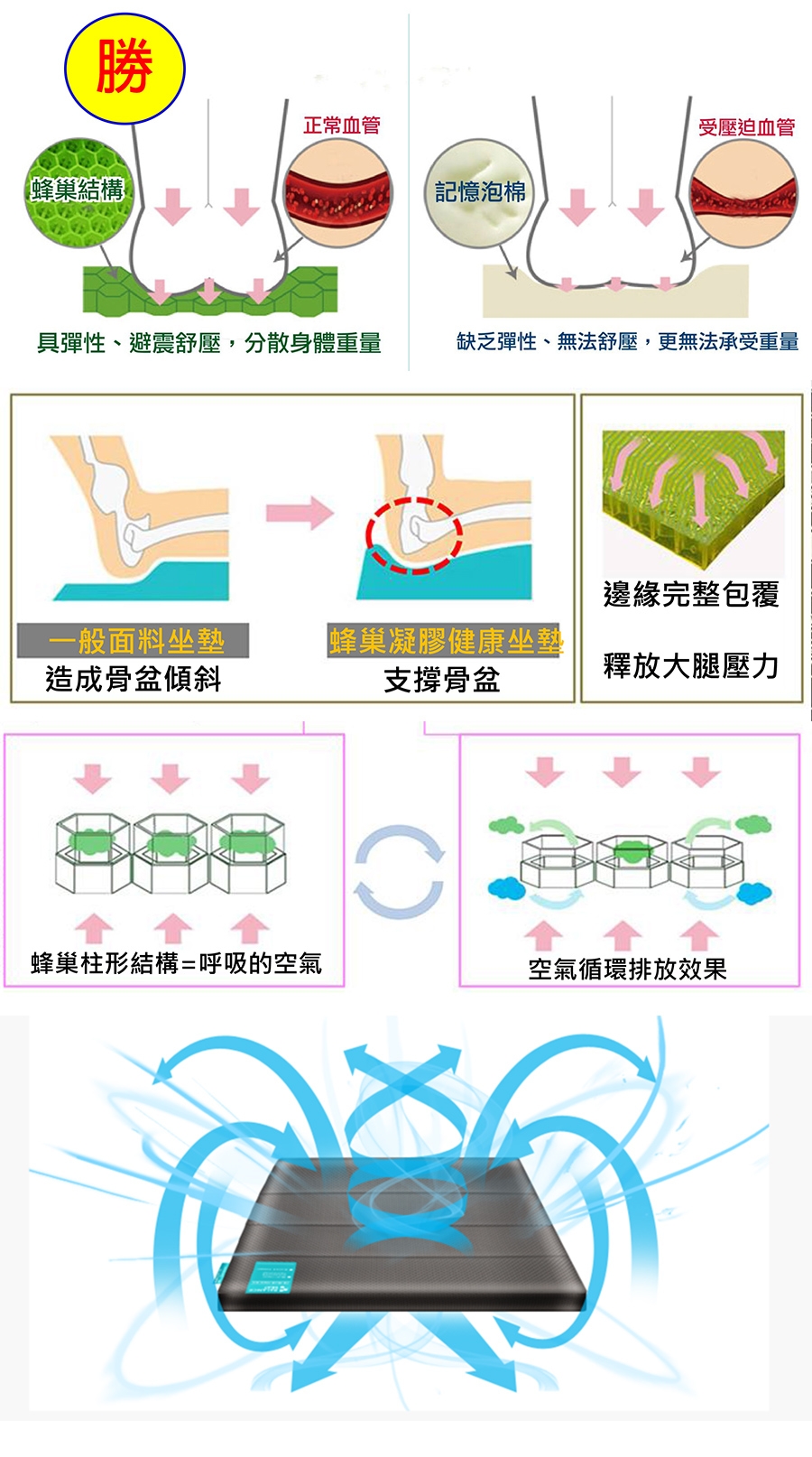 【BULLSONE】倍力舒蜂巢凝膠健康坐墊(綠色-M號)