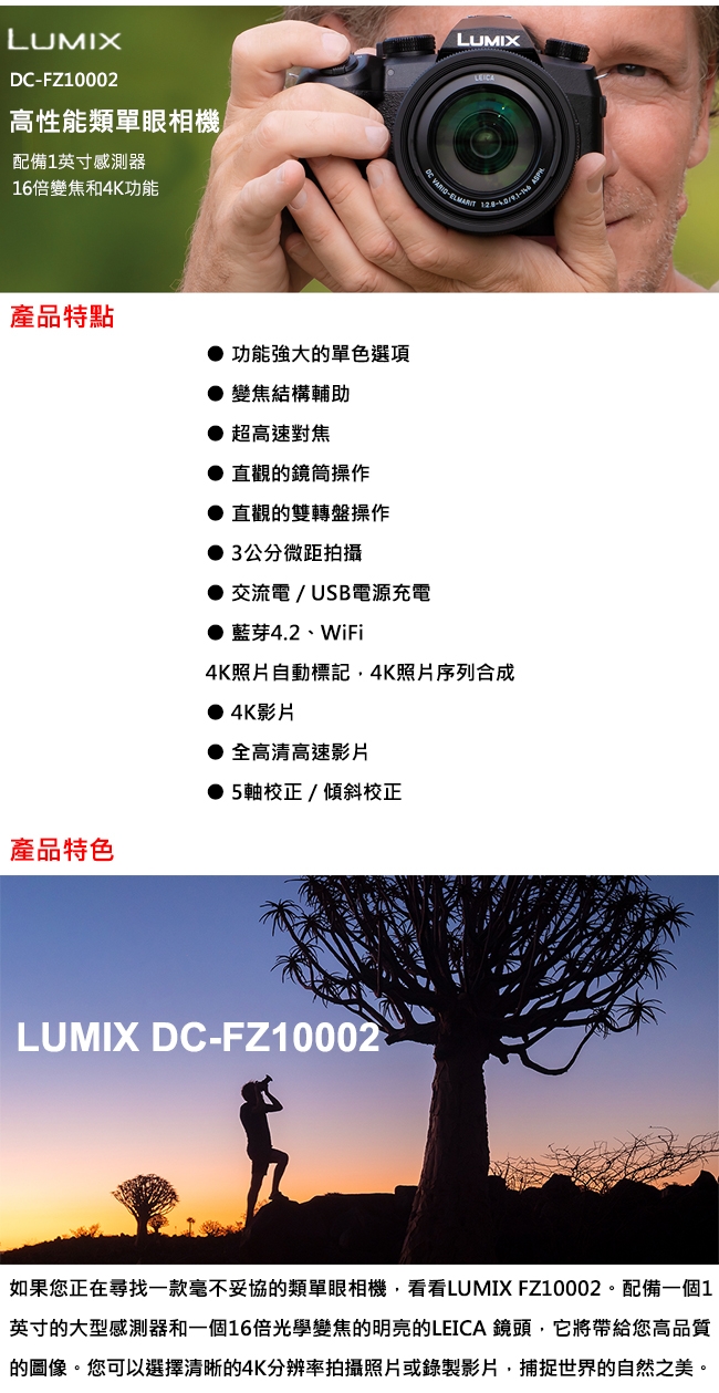 Panasonic LUMIX DC-FZ10002 高性能類單眼相機(公司貨)