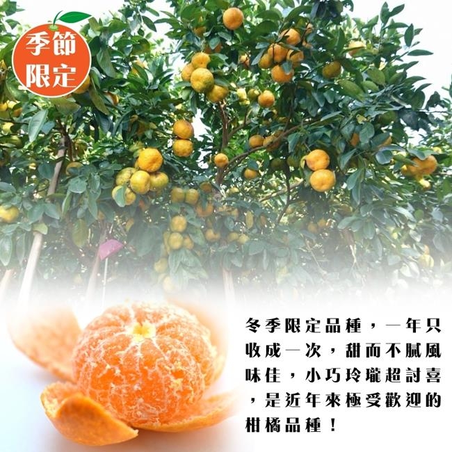 買1送1【果農直配】南投老欉珍珠砂糖橘禮盒5斤，共2箱