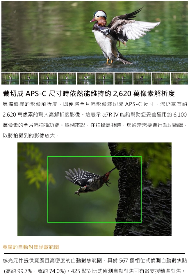 SONY A7R IV ( A7R M4 ) 單機身(公司貨)