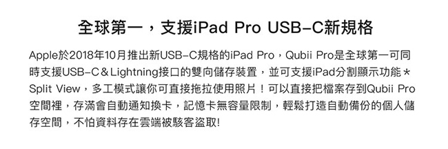 Qubii Pro 備份豆腐 專業版 不含記憶卡 玫瑰金