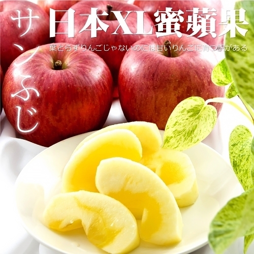 買10送10【天天果園】日本大顆蜜蘋果 共20顆(每顆約200g)