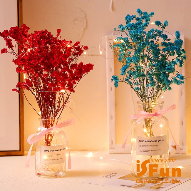 iSFun 星光乾燥花 甜美緞帶玻璃瓶銅線燈 2色可選