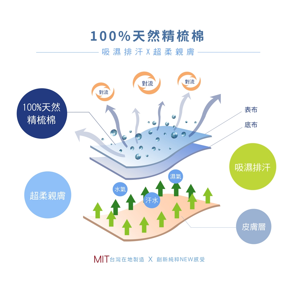 DUYAN竹漾-100%精梳棉-雙人加大六件式床罩組-沫羽翩翩 台灣製