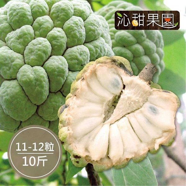 沁甜果園SSN 台東大目釋迦(11-12顆裝/10台斤)