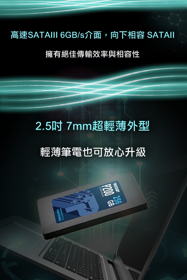 Patriot美商博帝 P200 1TB 2.5吋 SSD固態硬碟