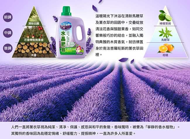 南僑水晶液體皂康柏包檸檬香茅瓶2.4kg*2+櫻花補1.6kg*2 +薰衣補1.6kg*2