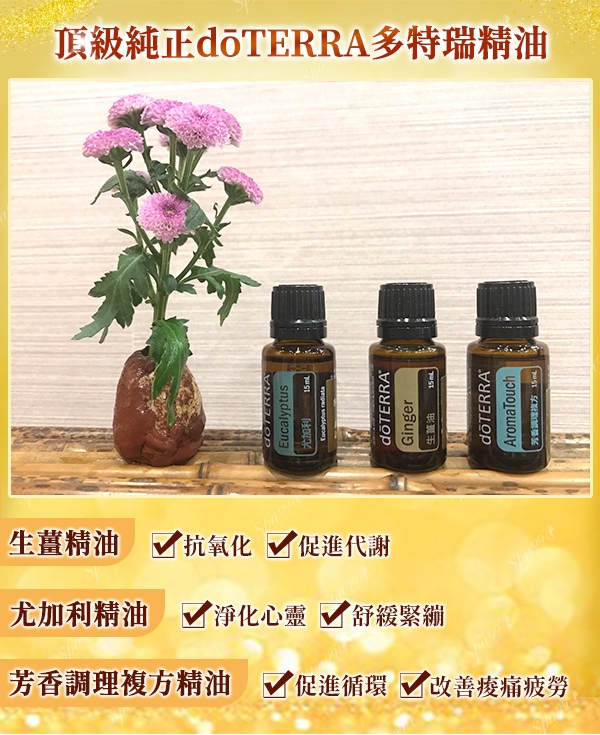 (高雄)100分鐘,尤加利暖薑精油全身舒壓+金箔極潤美背-JUDY SPA