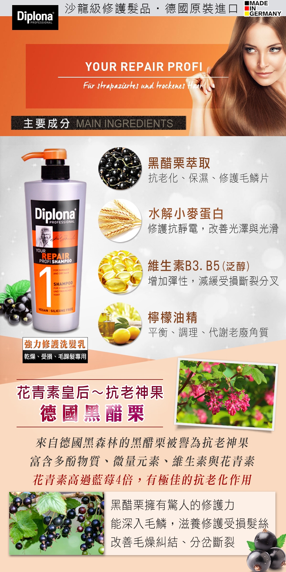 *德國DiplonaArgan摩洛哥堅果油洗髮乳六入+護髮油二入