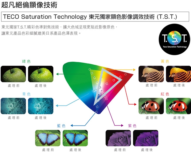 TECO東元 50吋 FHD 低藍光液晶顯示器+視訊盒 TL50A6TRE