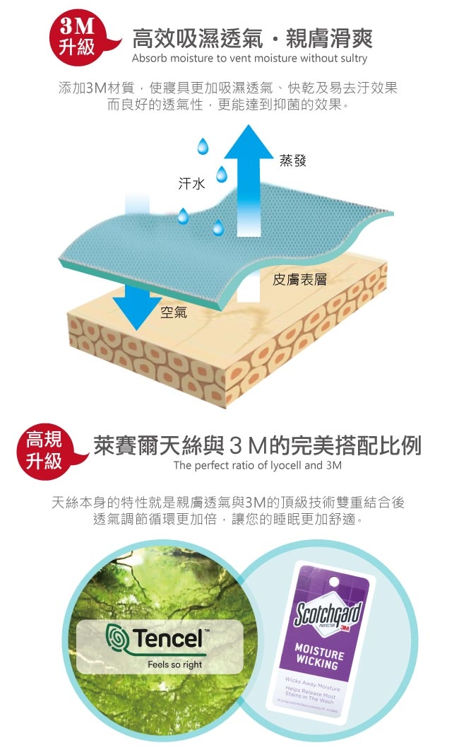 BEDDING-3M專利+頂級天絲-加大薄床包涼被四件組-守望