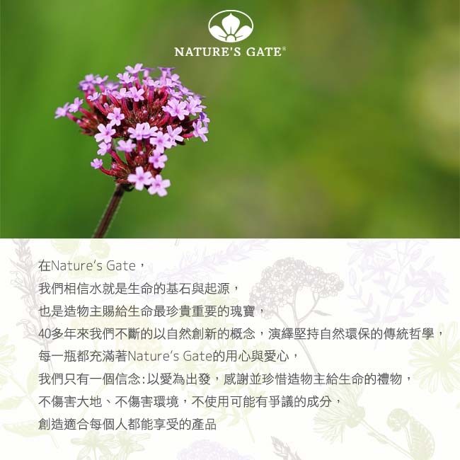 Nature‘s Gate天然之扉 經典無基改雙倍植萃無氟潔牙膠綜合6入組