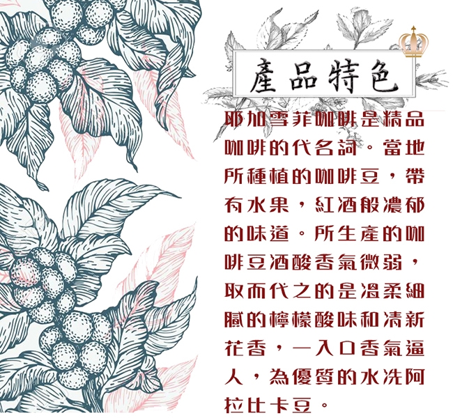 【女皇咖啡】耶加雪菲 檸檬花香咖啡 現烘咖啡豆(中深焙 一磅入 454g)