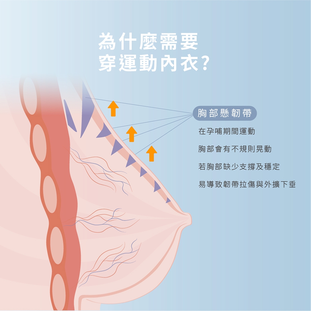 Gennies奇妮-Double集中美型運動哺乳內衣(粉GA76)