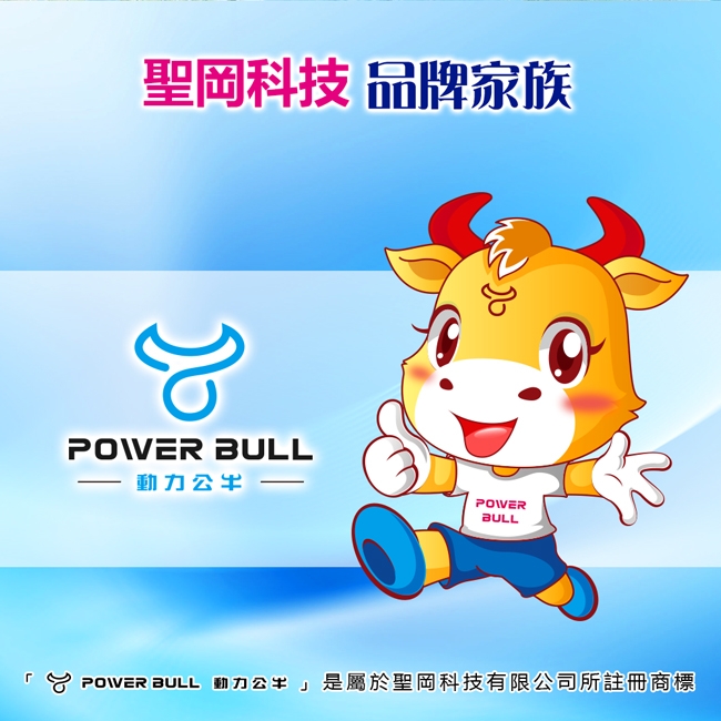 POWER BULLUTA-88 歐規大/小圓3USB充電器/3.1A