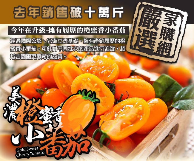 家購網嚴選 橙蜜香小蕃茄 5斤x3盒 (時時樂)
