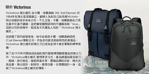 VICTORINOX 瑞士維氏 Altmont Original 標準型後背包-黑