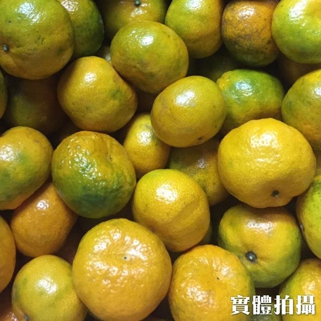【果農直配】南投老欉珍珠砂糖橘禮盒5斤