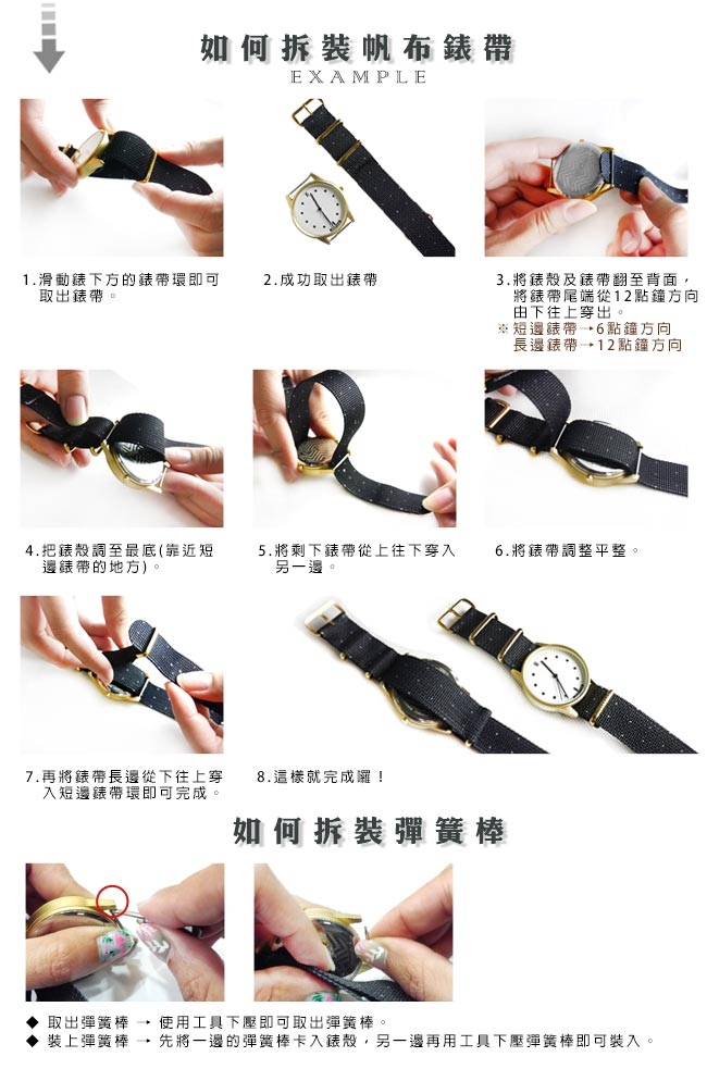 Watchband DW 各品牌通用 不鏽鋼扣頭 尼龍錶帶-藍x白