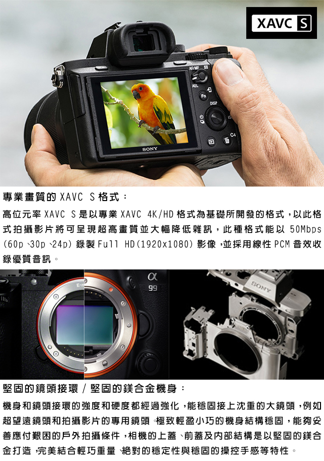 SONY 索尼 A7II 單機身*(中文平輸)